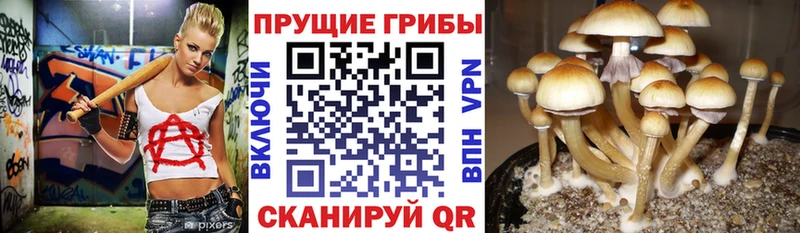 наркотики  Разумное  Псилоцибиновые грибы ЛСД 
